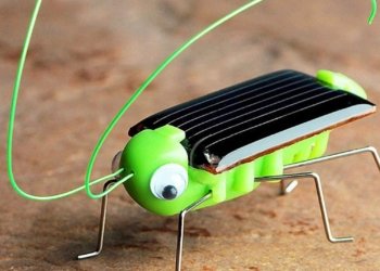 Solar Powered Grasshopper Robot Educational No batteries Toy