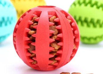 Interactive Rubber Balls Chewing Tooth Cleaning Indestructible Pet Toys