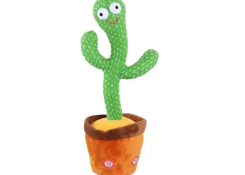 Dancing Cactus